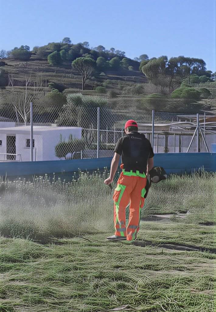 Limpieza de solar urbano en El Rebolledo