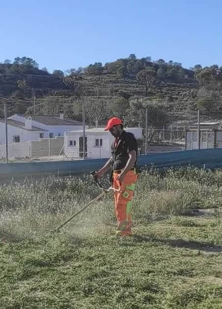 Mantenimiento de finca con desbrozadora