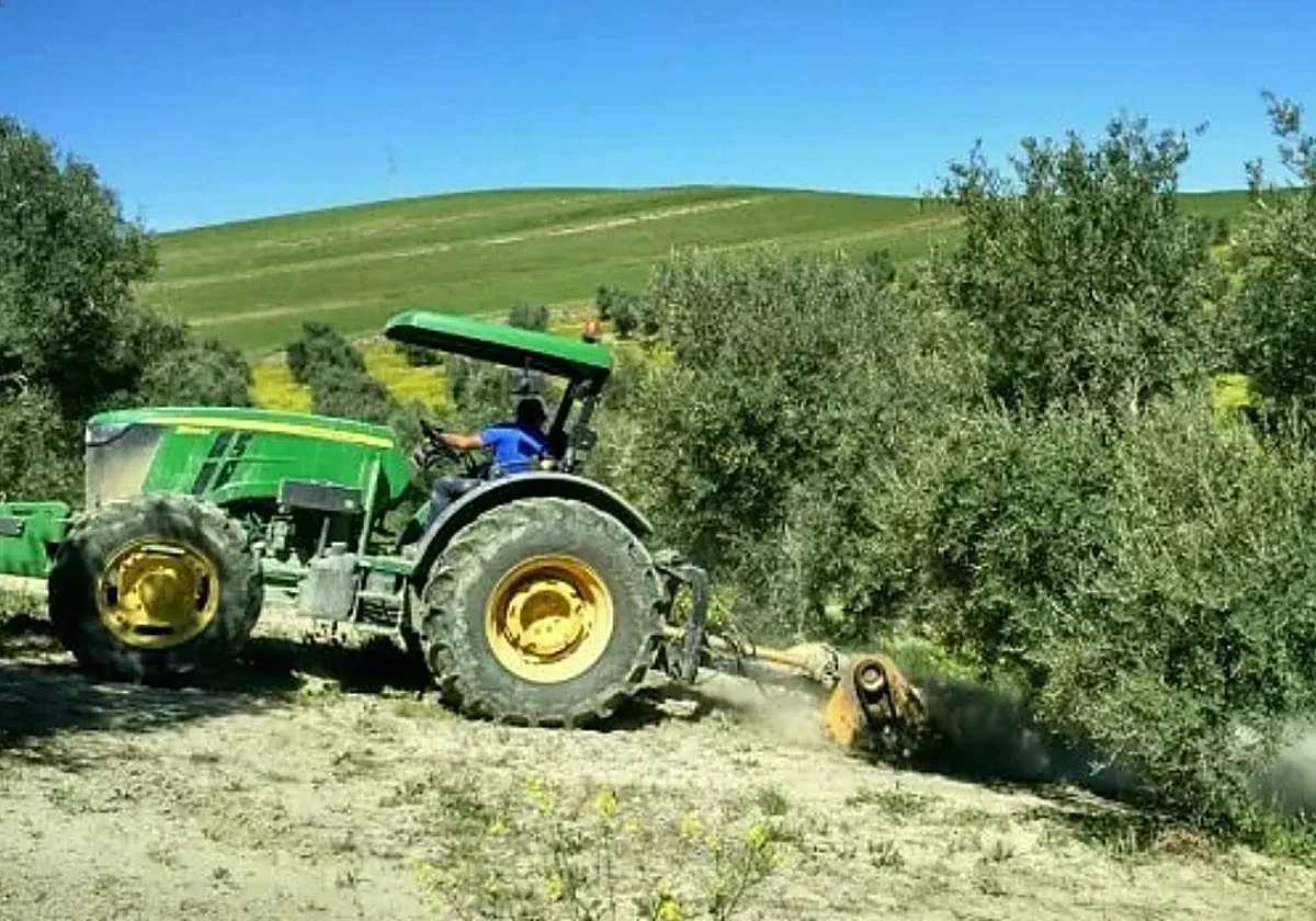 Tractorista en Alicante realizando desbroce con tractor en finca